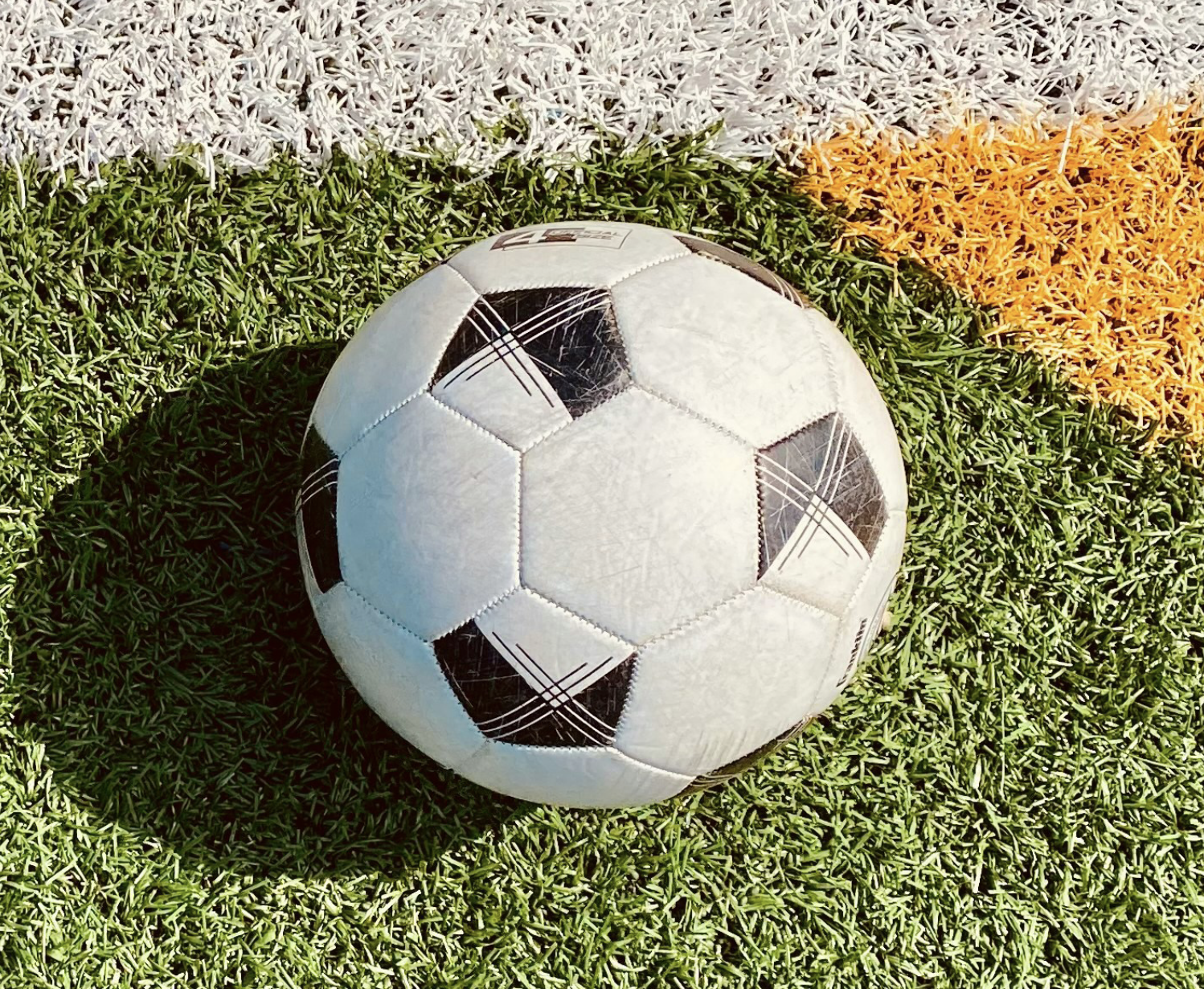 WK: Nederland - Japan