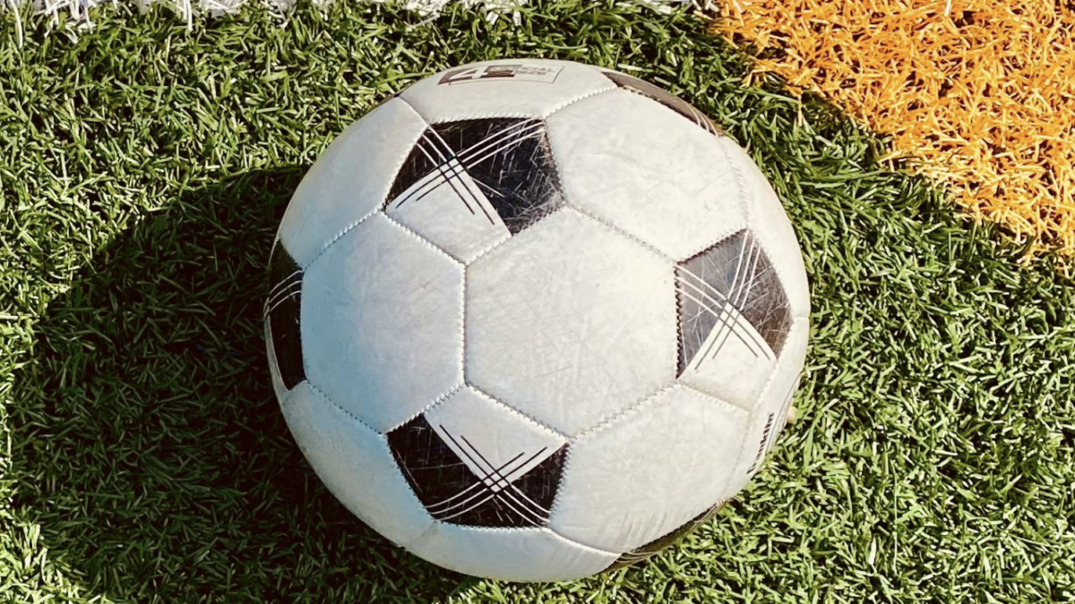 WK: Nederland - Zweden